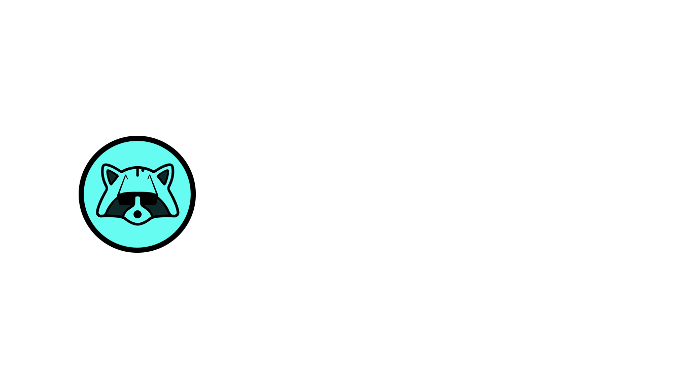 Radio Racoon
